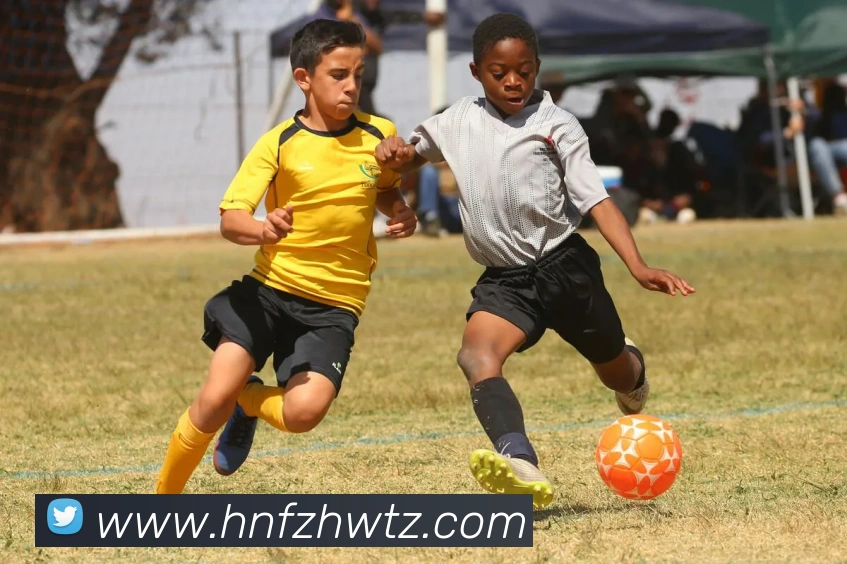 奖项证书